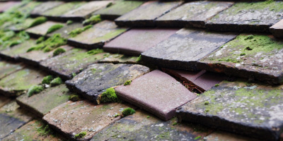 Isley Walton roof repair costs